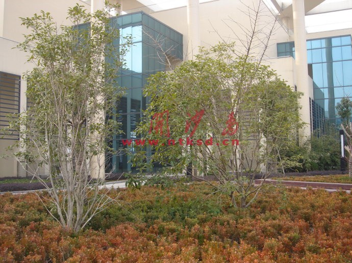 这里空气清新、环境优美