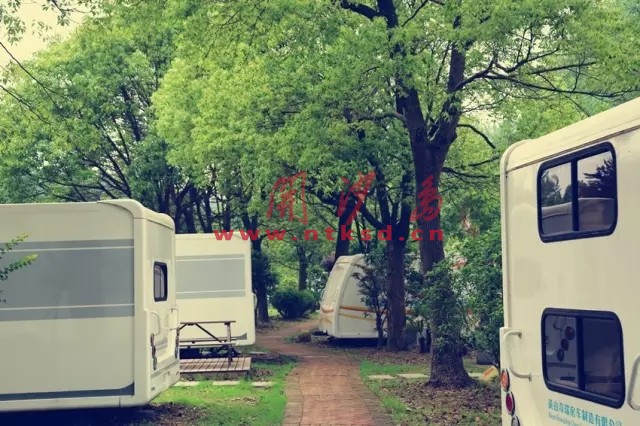 &ldquo;真是大树底下好乘凉啊&rdquo;